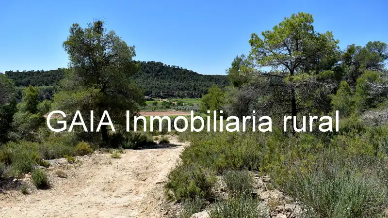 Finca rústica en venda en Batea