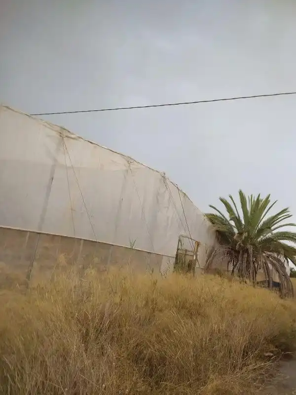 Finca rústica en venta en Elche / Elx con Calefacción