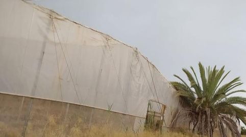 Foto 3 de Finca rústica en venta en Asprella, La Foia - Daimés - Asprella, Elche / Elx