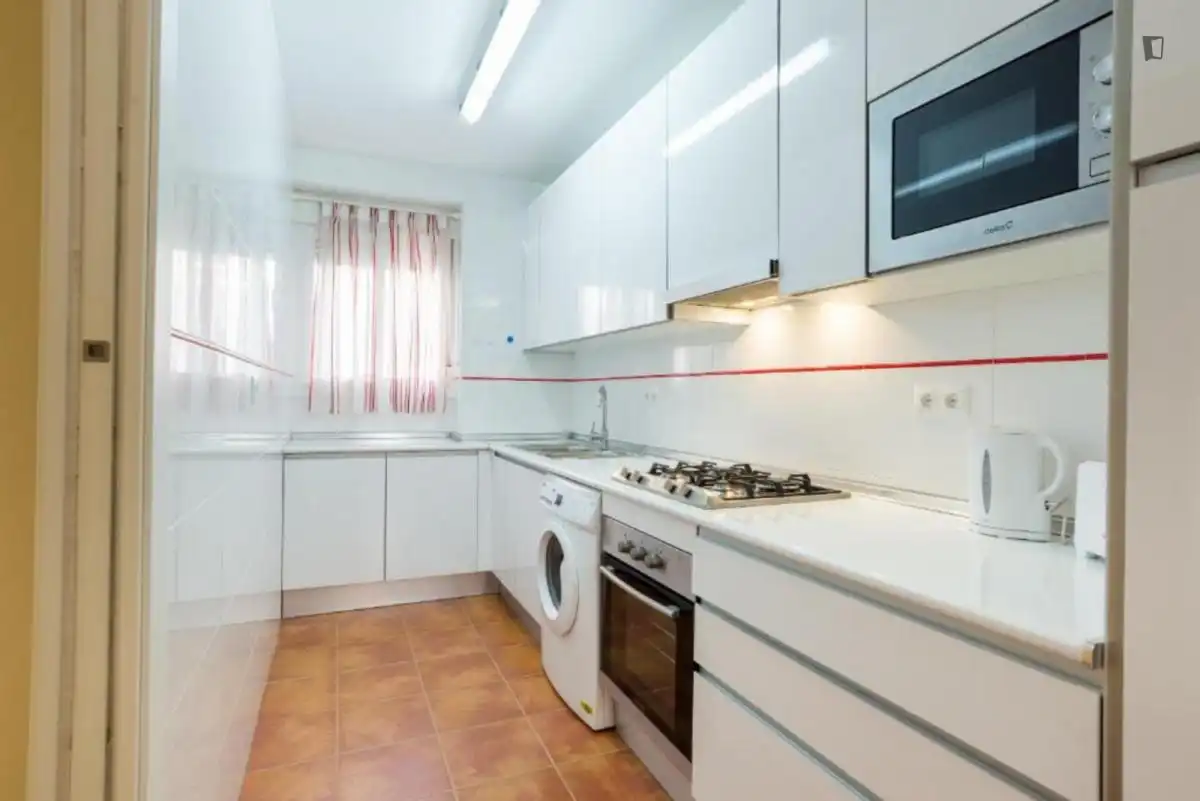 Kitchen of Apartments for rent in Málaga  with Air Conditioner, Furnished and Oven