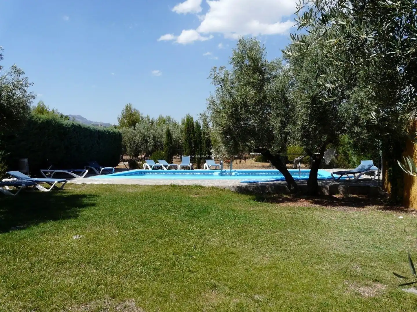 Jardín de Finca rústica en venta en Jaén con Jardín privado y Piscina