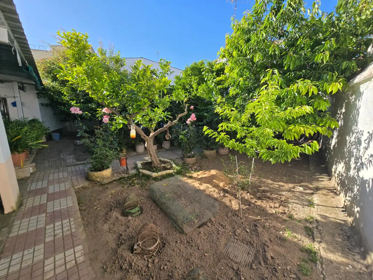 Jardín de Casa o chalet en venta en Campillos con Jardín privado, Terraza y Amueblado
