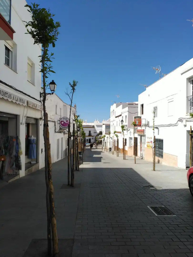Vista exterior de Casa o xalet en venda en Conil de la Frontera amb Aire condicionat