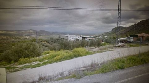 PARCELA DE OLIVAR, 2.540 M2 DE PARCELA,