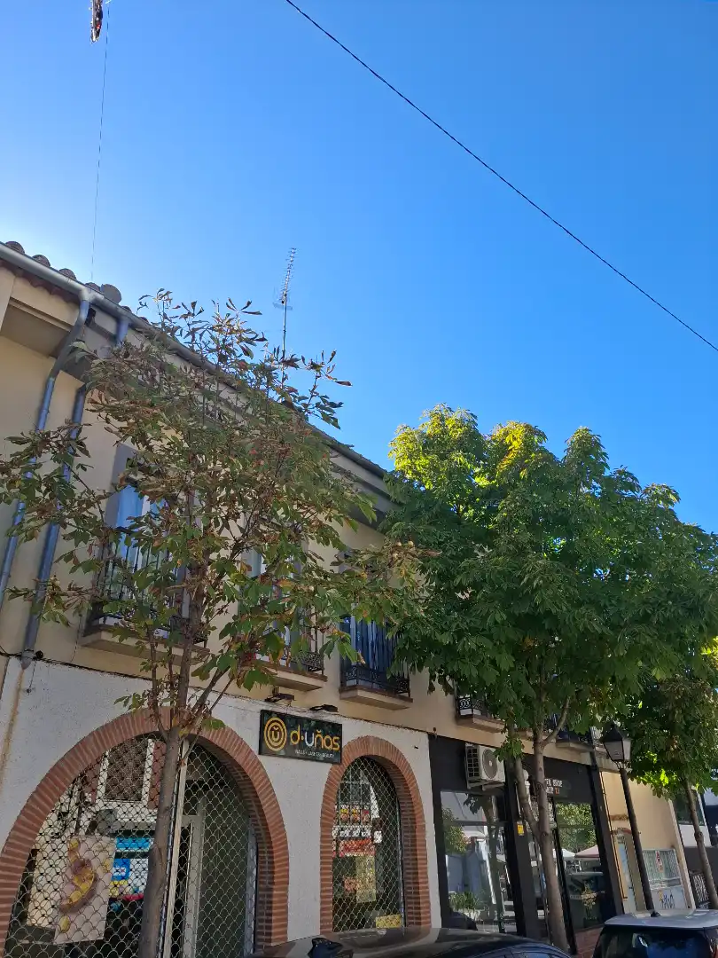 Business premises for transfer in Calle Carretas, imagen 2