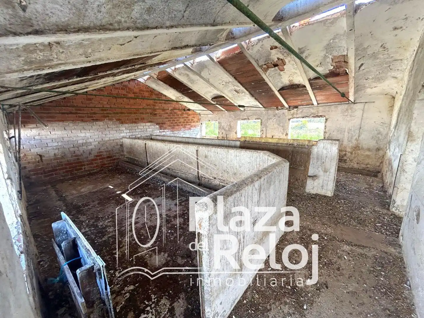 Land for sale in Pepino