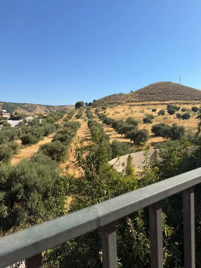 Haus mit Terrasse zum Verkauf in Huétor Vega, imagen 23
