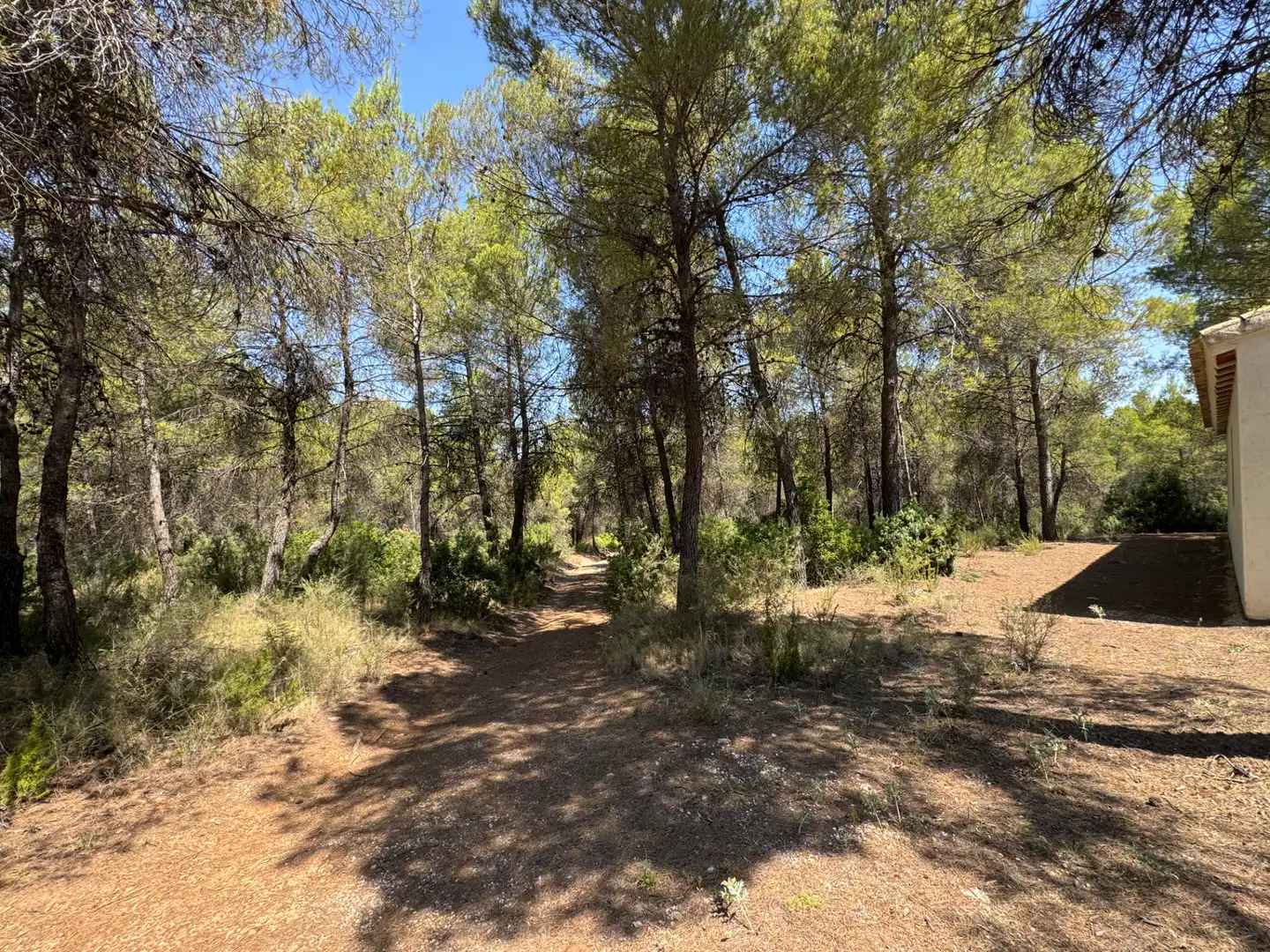 Rural land for sale in N/A, imagen 56