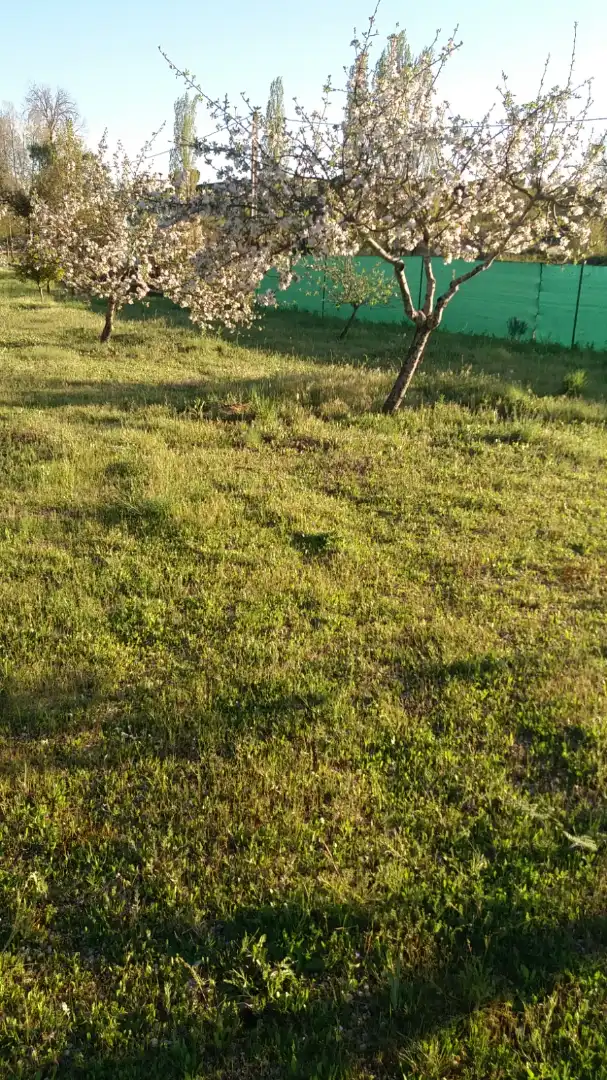 Terreni e lotti in vendita a La Hiniesta, imagen 10
