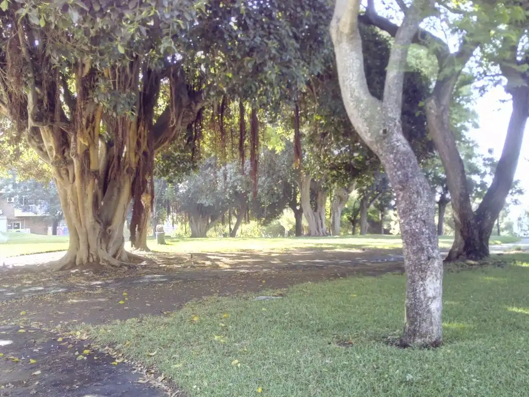 Flat for rent in Benalmádena, Málaga
