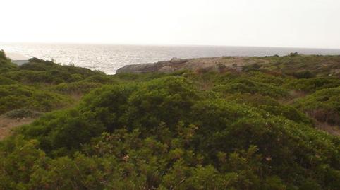 Photo 3 of Residential for sale in Cap d'en Font - Binissafúller, Illes Balears