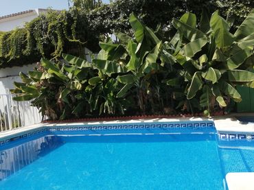 Casa pareada con balcón en venta en Calle Nectarina