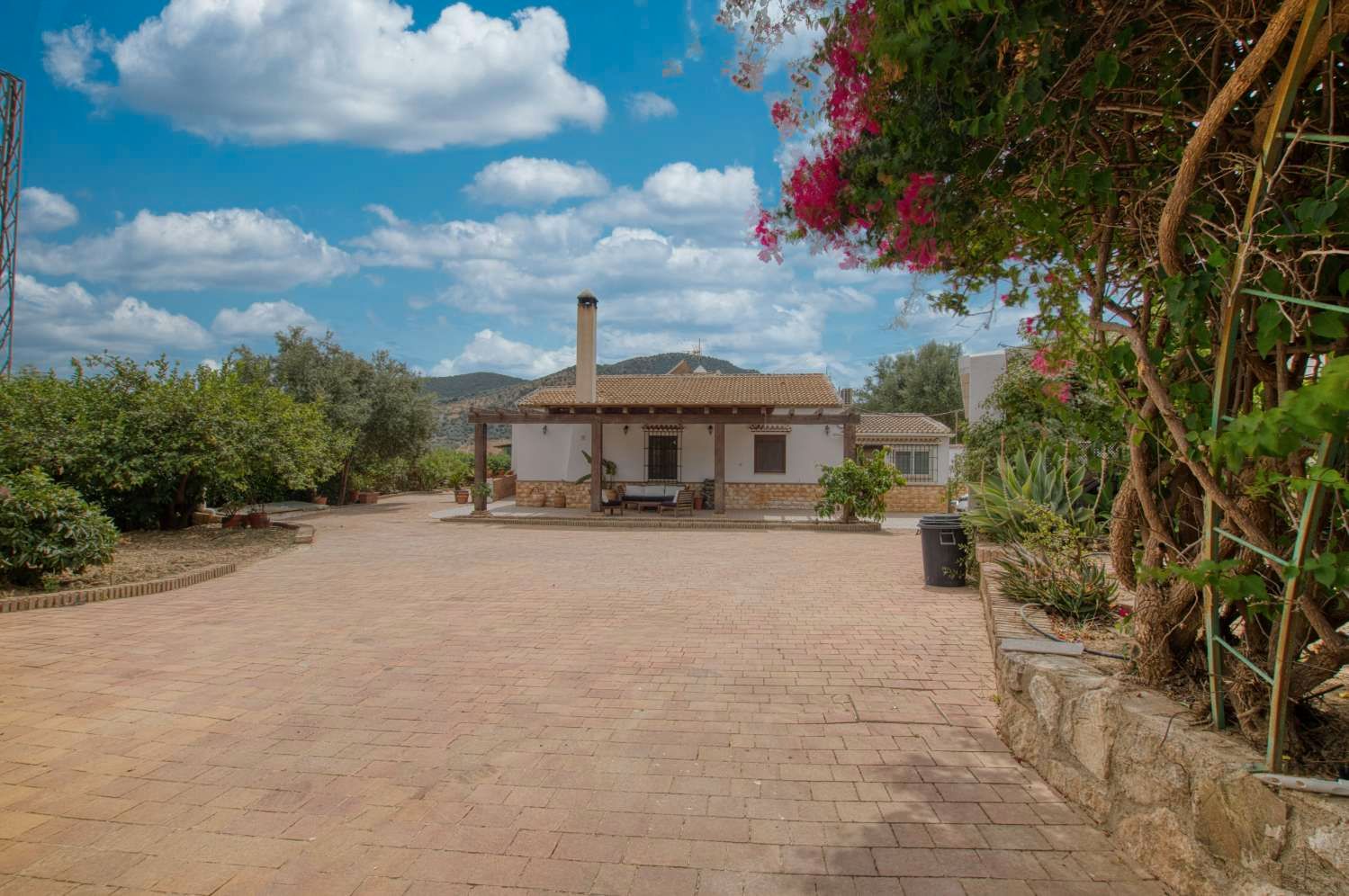 Exterior view of Country house for sale in Periana  with Swimming Pool