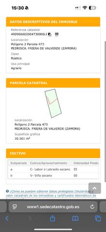 Terreno en Venta en Travesía Pozo, 8 en Friera de Valverde