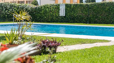 Foto 2 de Estudi de lloguer a Calle Luis Vives, Solymar, Málaga