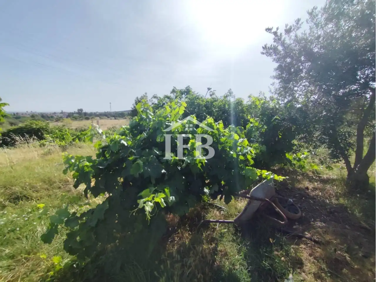 Terreni e lotti in vendita a Carretera de Sevilla - Los Montitos, imagen 6