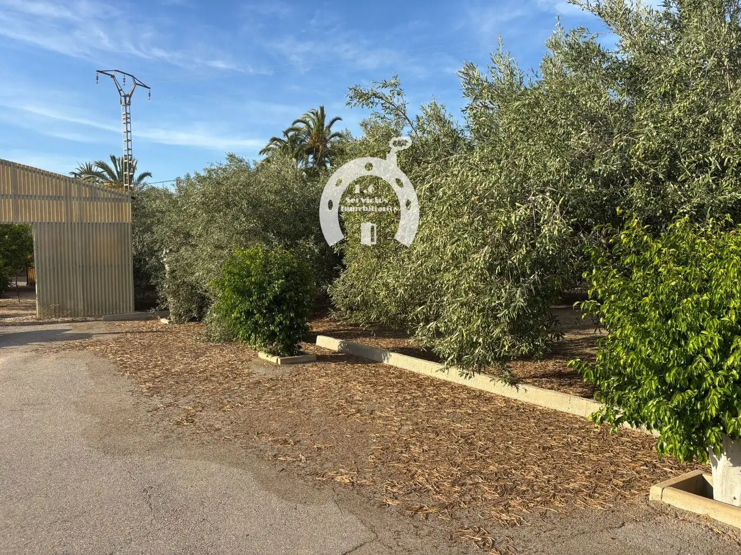 Nau industrial en venda en Elche / Elx