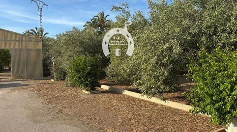 Foto 4 von Fabrikhallen zum Verkauf in Torrellano, Elche / Elx