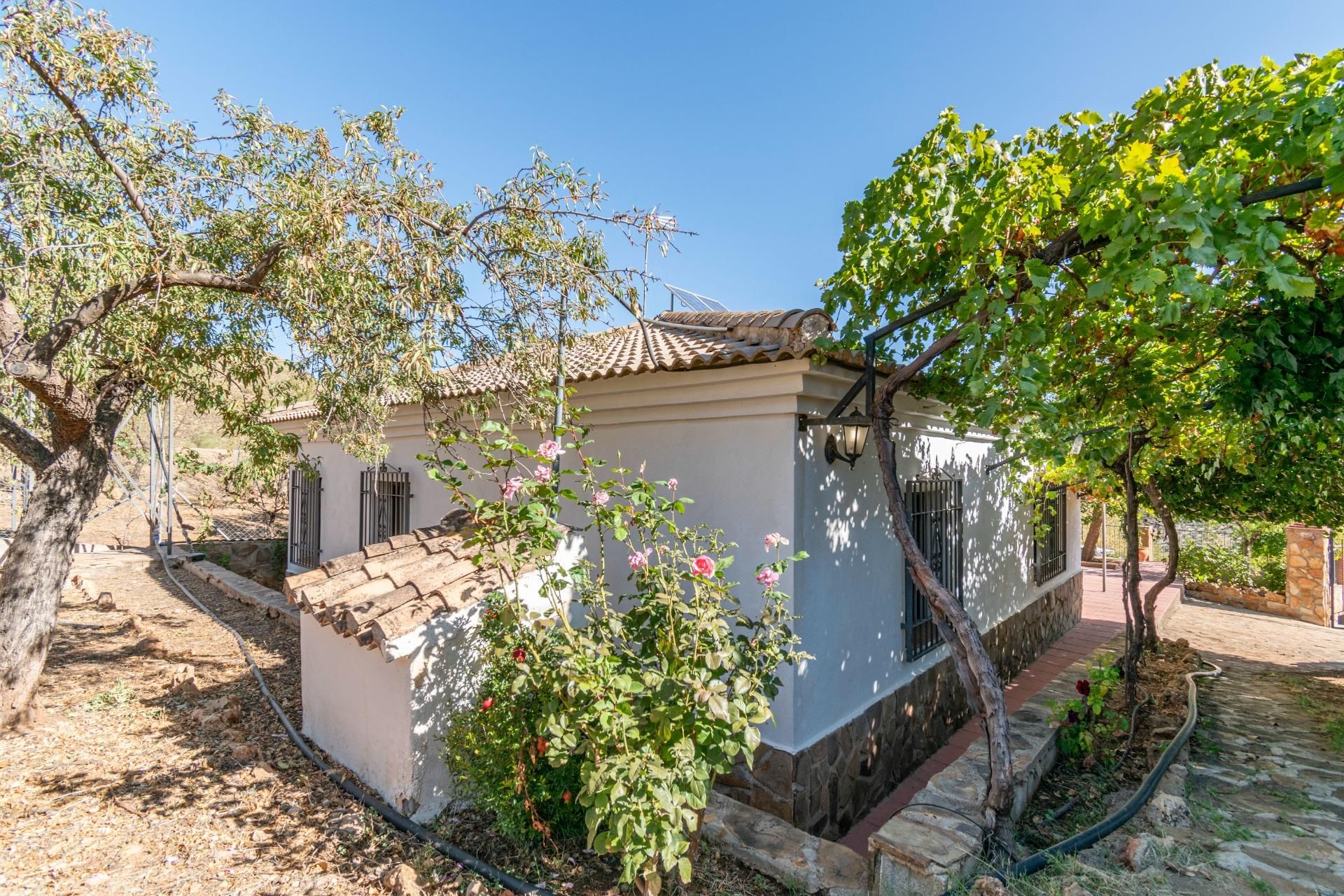 Garten von Country house zum verkauf in La Peza mit Privatgarten, Terrasse und Abstellraum