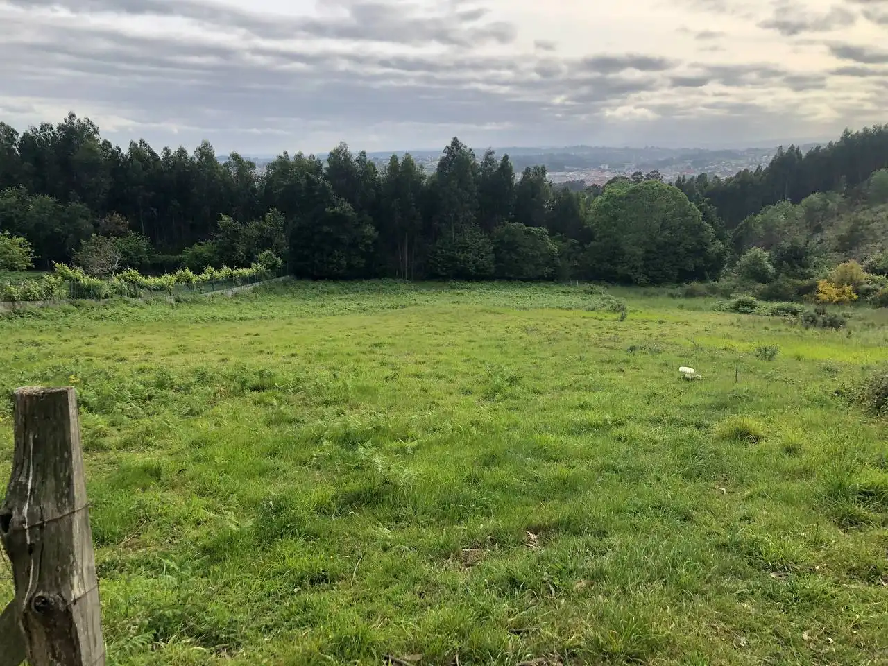 Residential land for sale in Rúa Castro, imagen 5