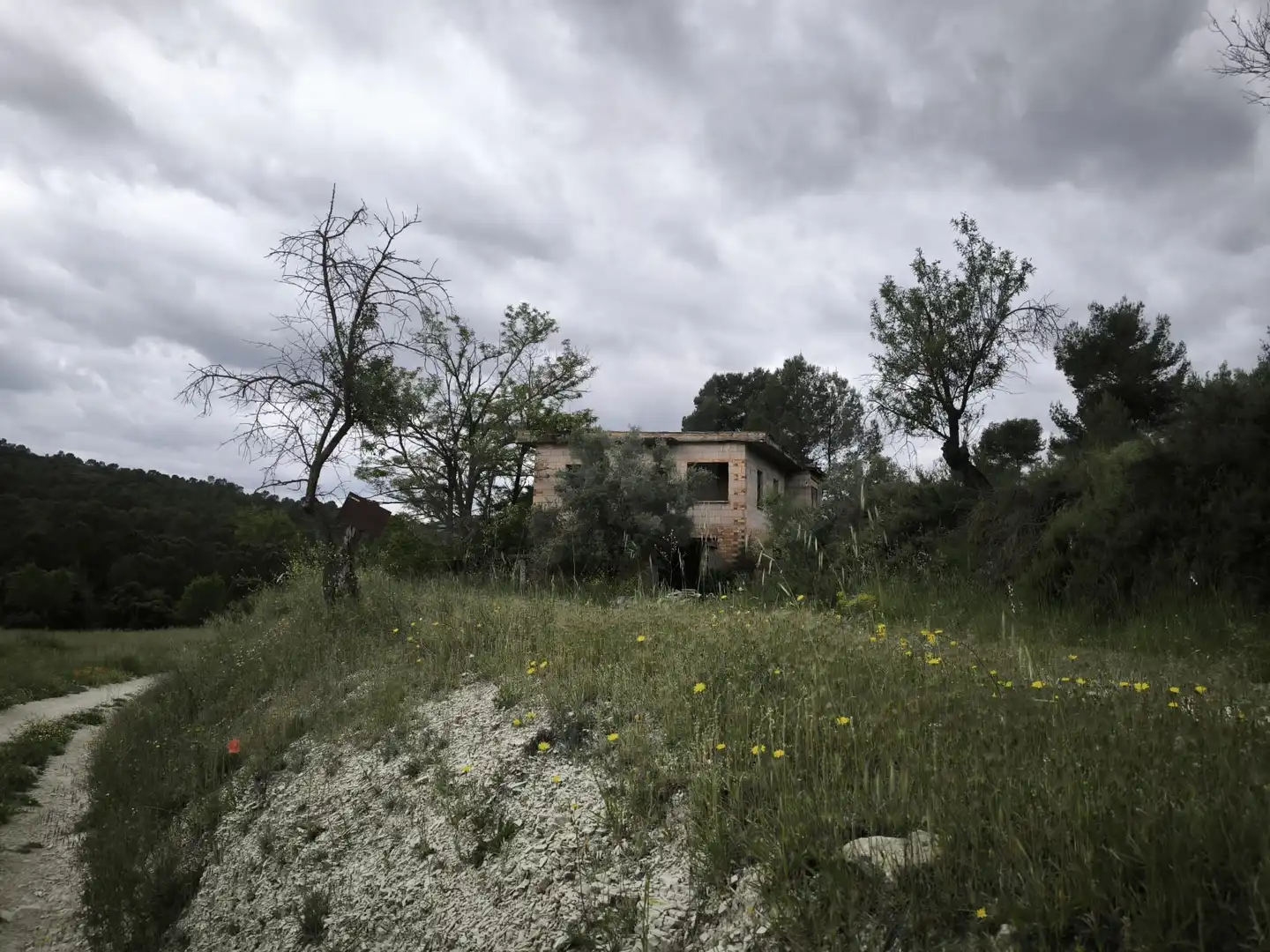 Rural land for sale in Penàguila, imagen 14