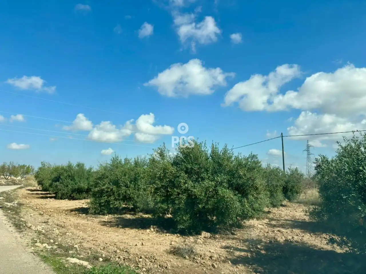 Chalet con jardín en venta en Calle Zona Raiguero S/N, imagen 12