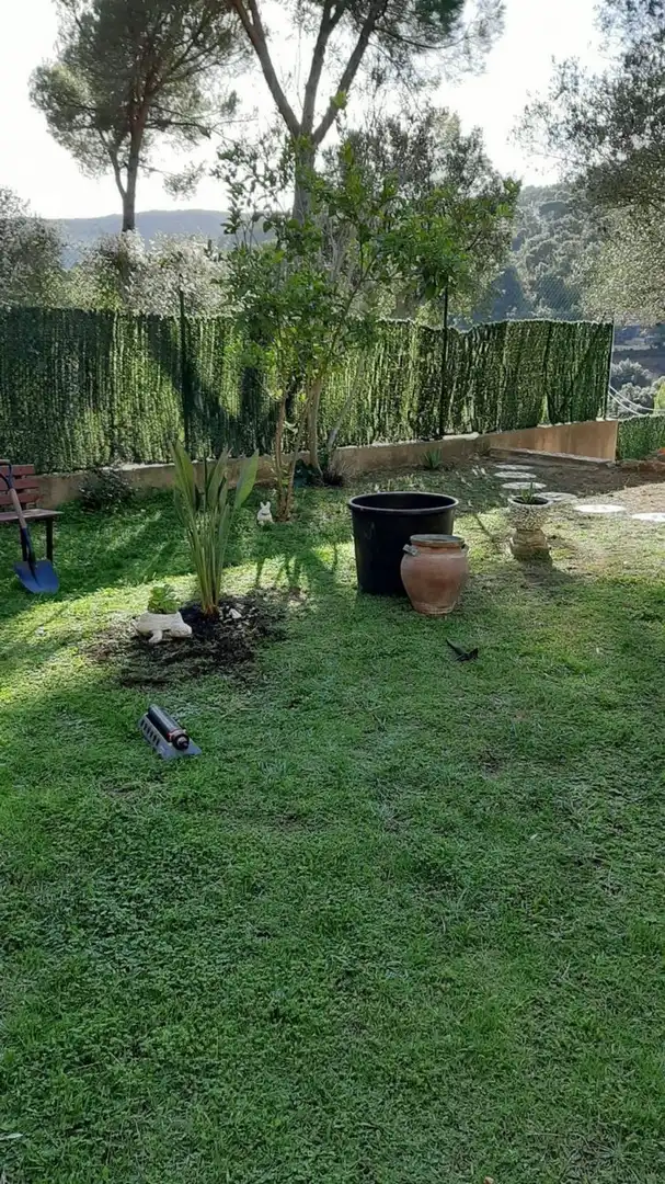 Detached house with pool for sale in Calle Alzina, imagen 21