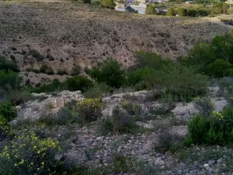 Terreny residencial en venda a Alguazas, imagen 6