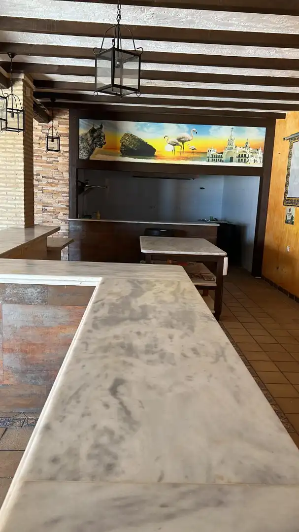 Commercial properties for sale in Almonte  with Terrace, Furnished and Alarm