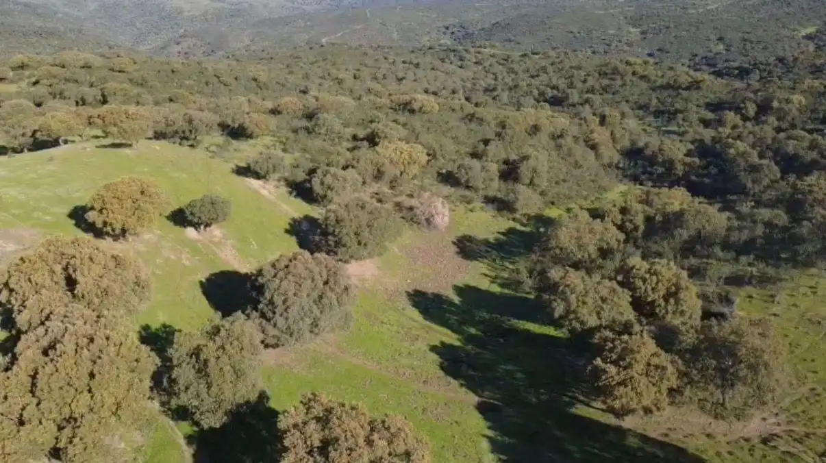 Terreny rústic en venda a Alcántara, imagen 4