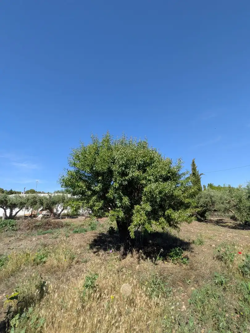 Residencial en venta en Ciudad Real