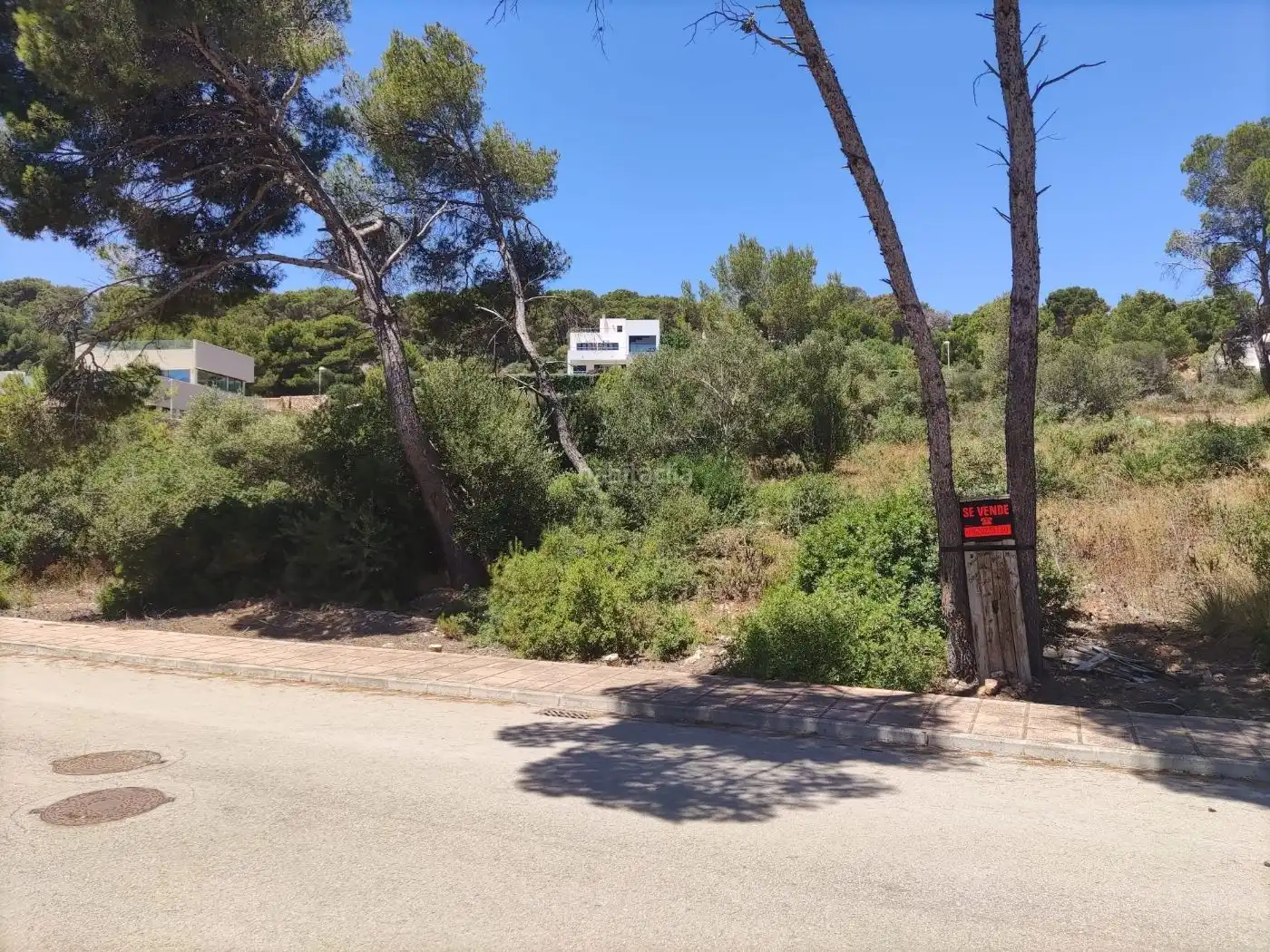 Terreny residencial en venda a Carrer des Pins 11, imagen 6