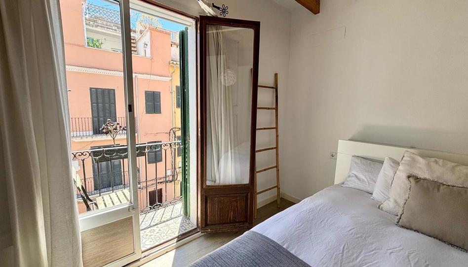 Photo 1 of Apartment to rent in Son Dameto, Illes Balears