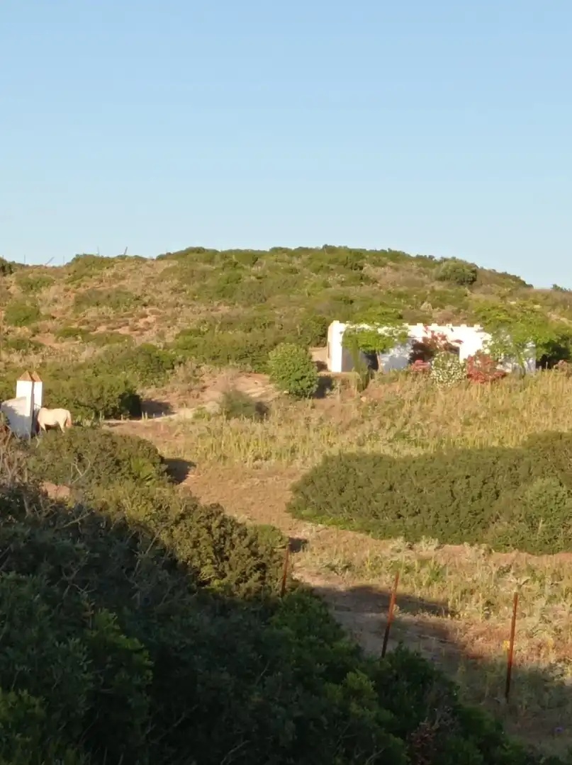 Terreny residencial en venda a Medina Sidonia, imagen 4