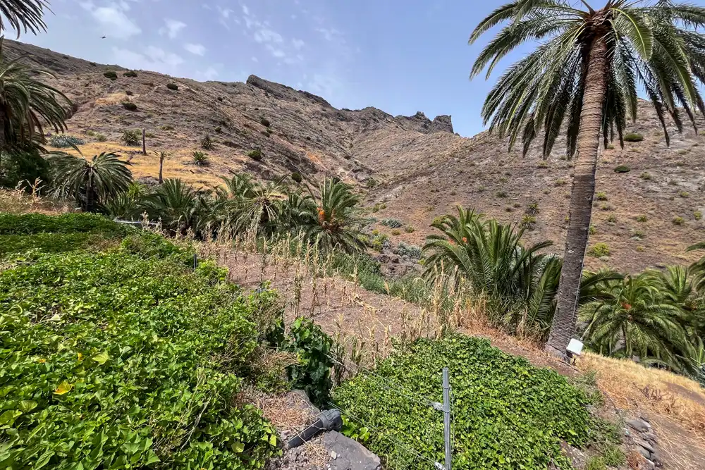 Finca rústica en venda en Vallehermoso amb Terrassa