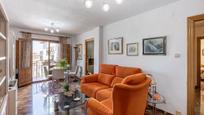Sala d'estar de Pis en venda en  Granada Capital amb Terrassa i Balcó