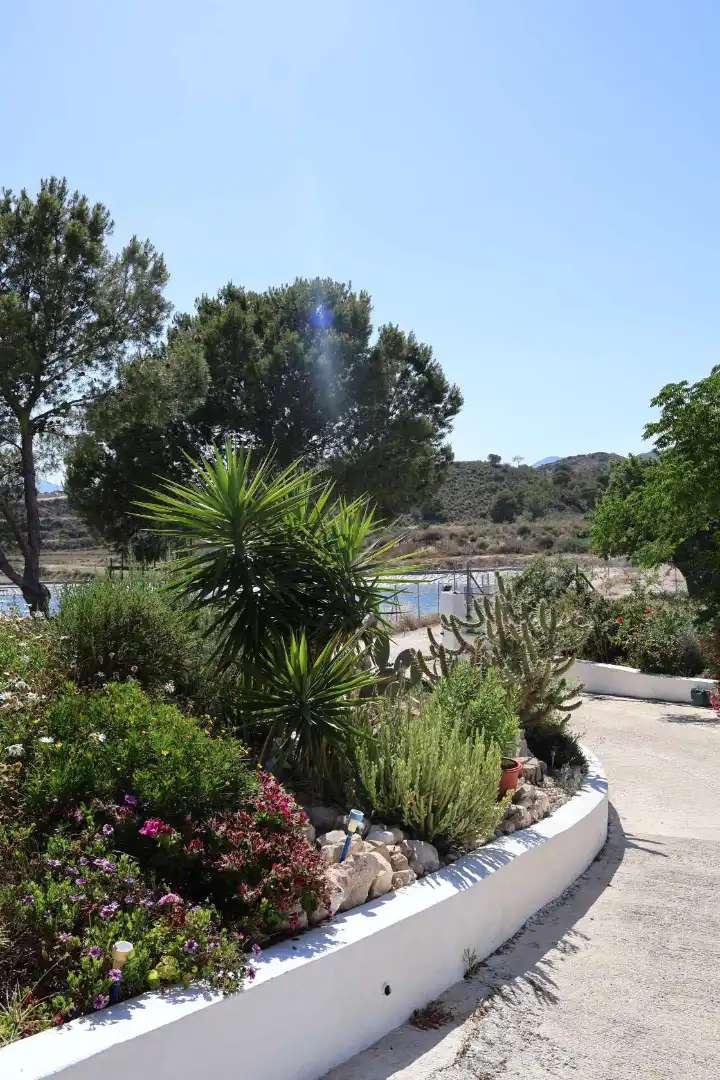 Jardín de Casa o chalet en venta en Novelda con Jardín privado, Terraza y Trastero