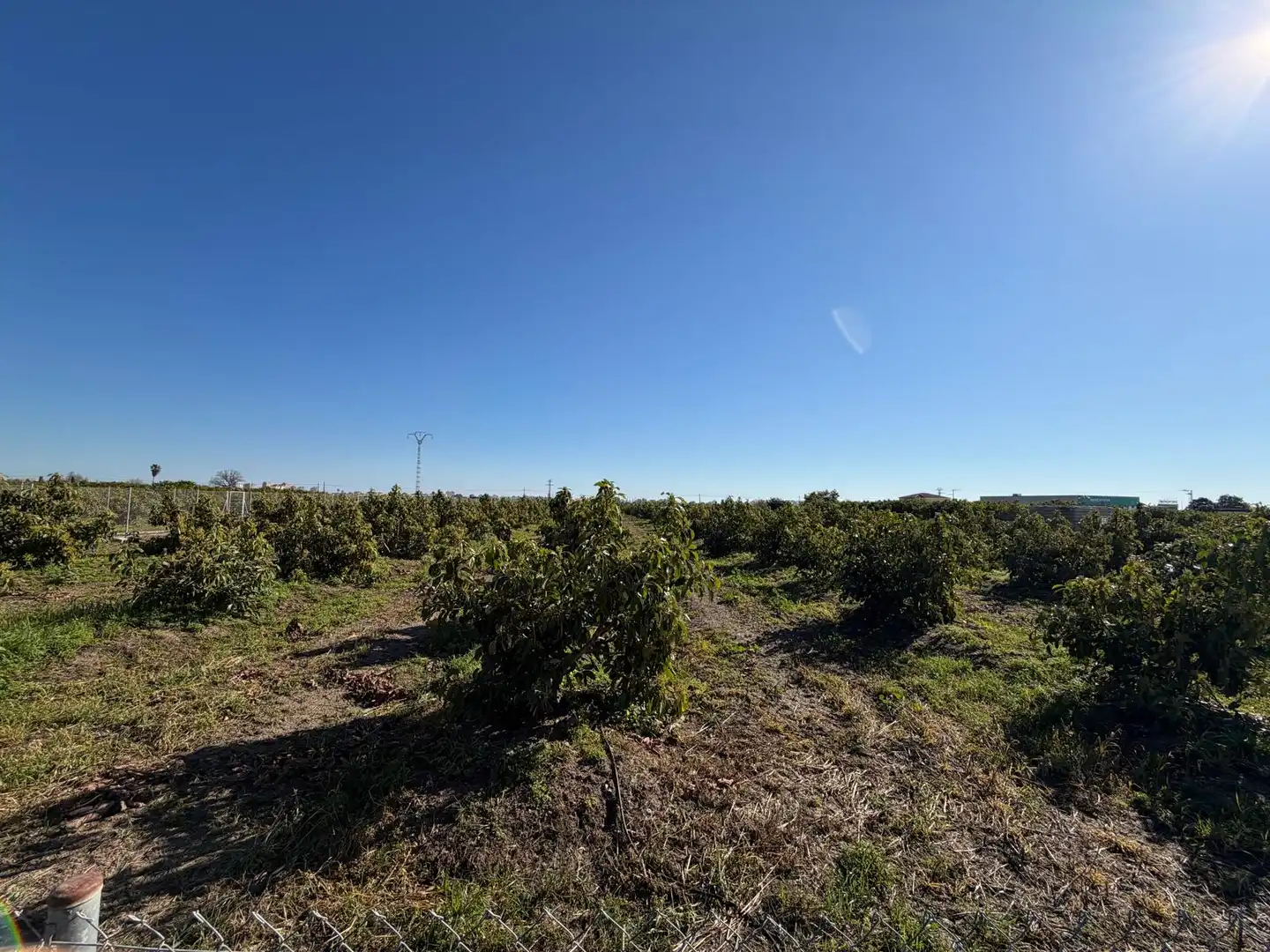 Land for sale in L'Alqueria de la Comtessa