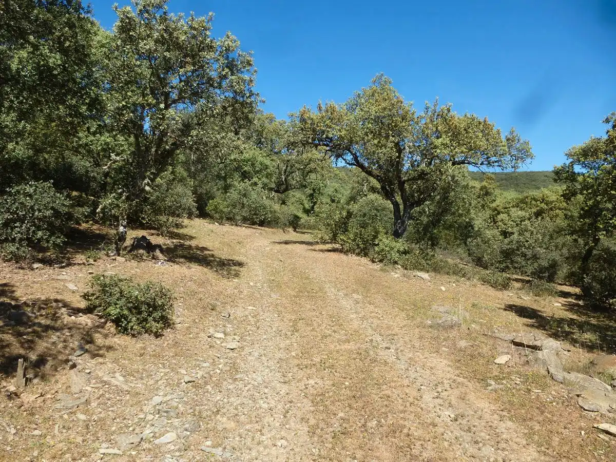 Terreni e lotti in vendita a Madroñera, imagen 2