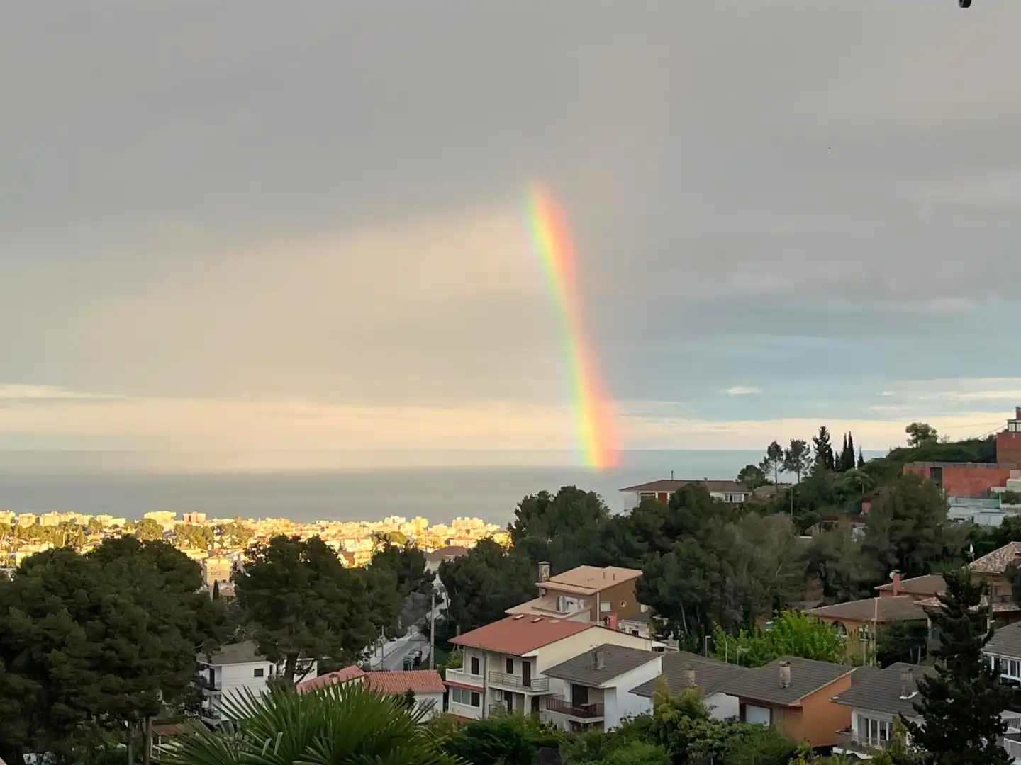 Maison jumelée avec terrasse à vendre à Avenida del Comte Gómez de Orbaneja, imagen 22