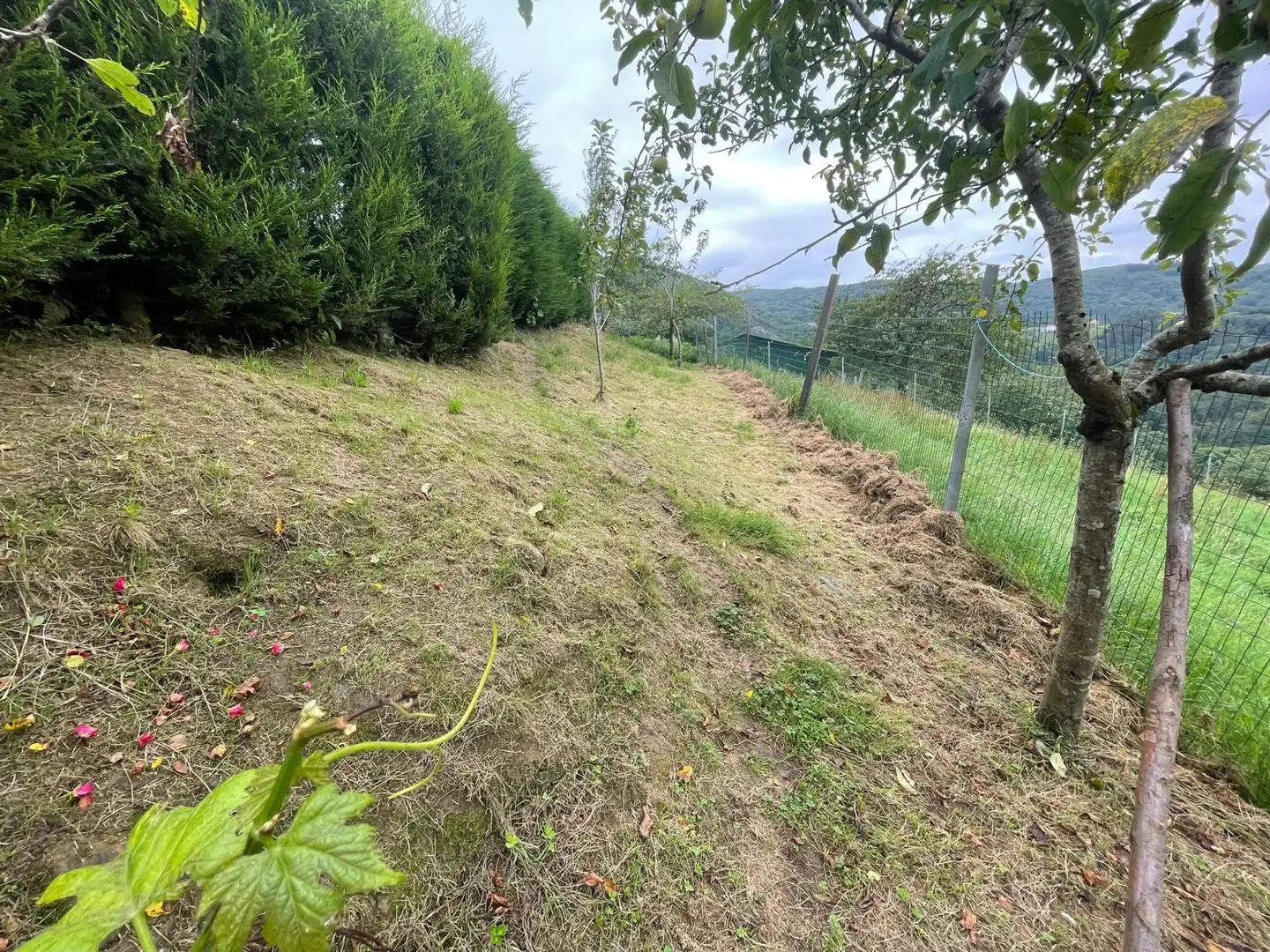 Land for sale in Santo Adriano