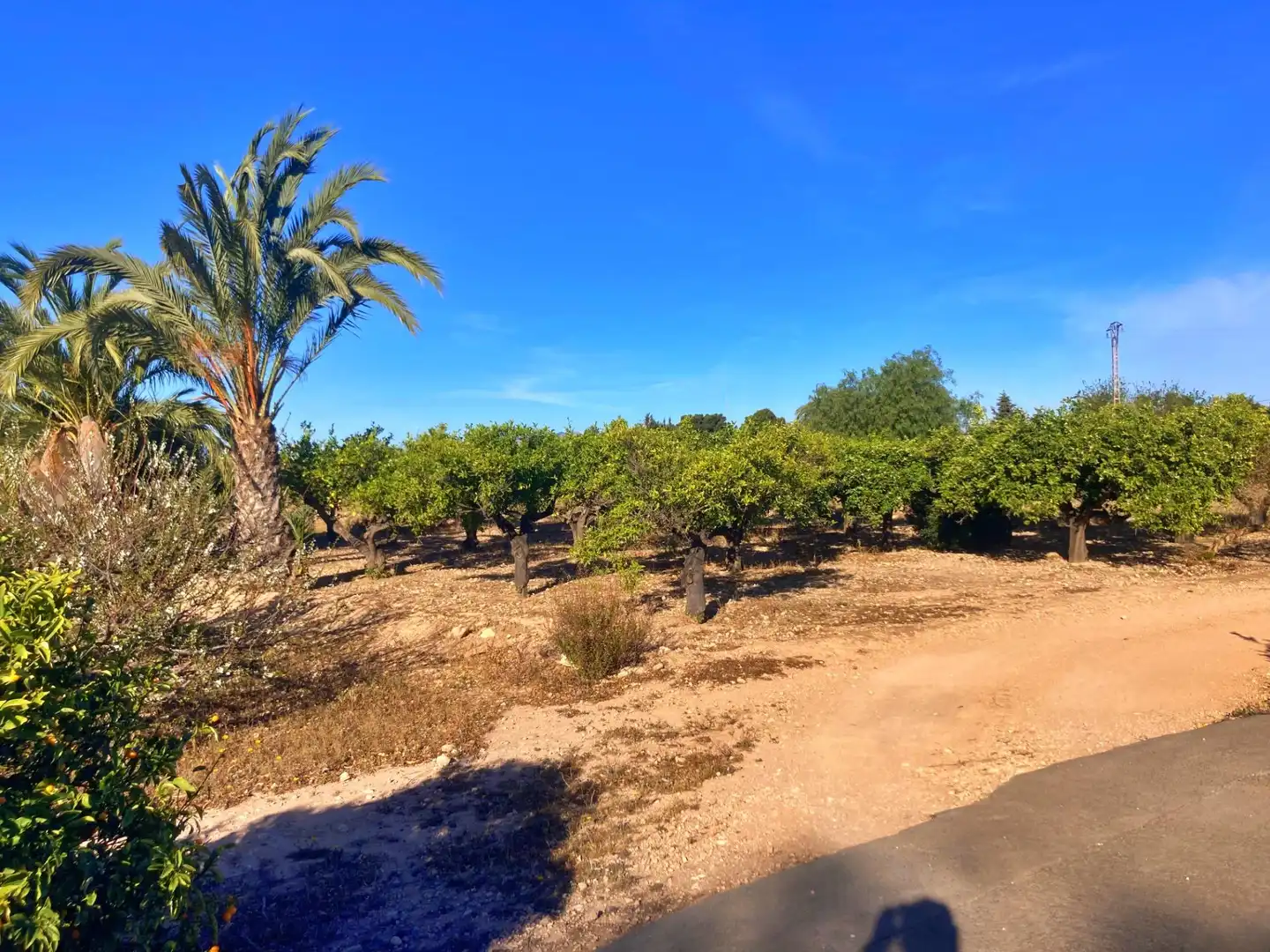 Finca rústica en venta en Elche / Elx