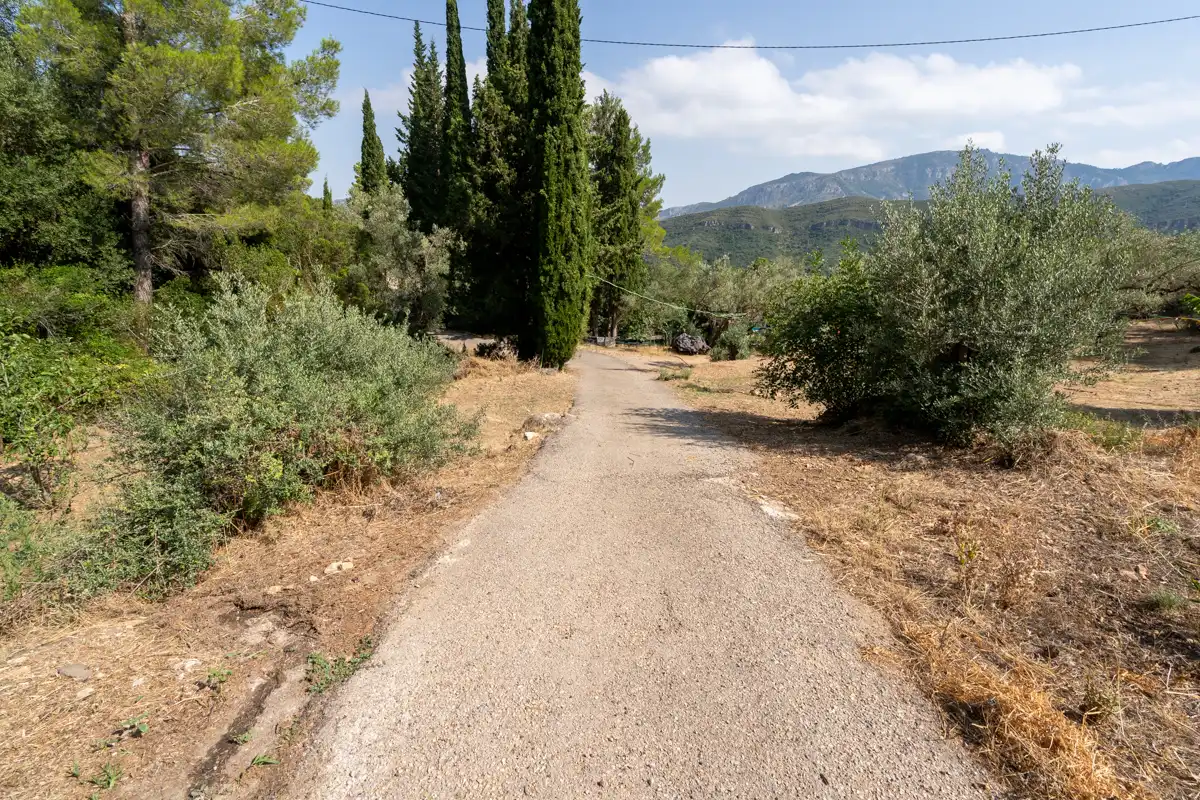 Finca rústica en venda a Carrer de Dalt, 3, Alfara de Carles