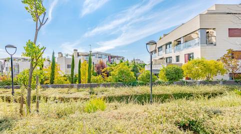 Photo 4 of Planta baja to rent in Aravaca, Madrid