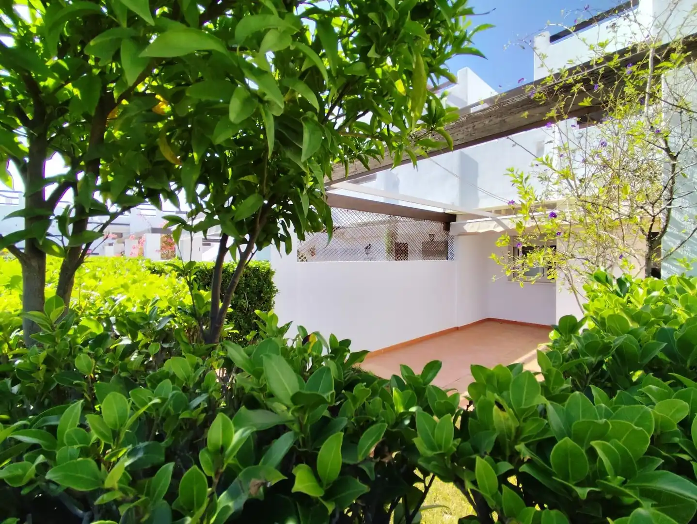 Jardí de Casa o xalet en venda en Alhama de Murcia amb Jardí privat, Terrassa i Moblat