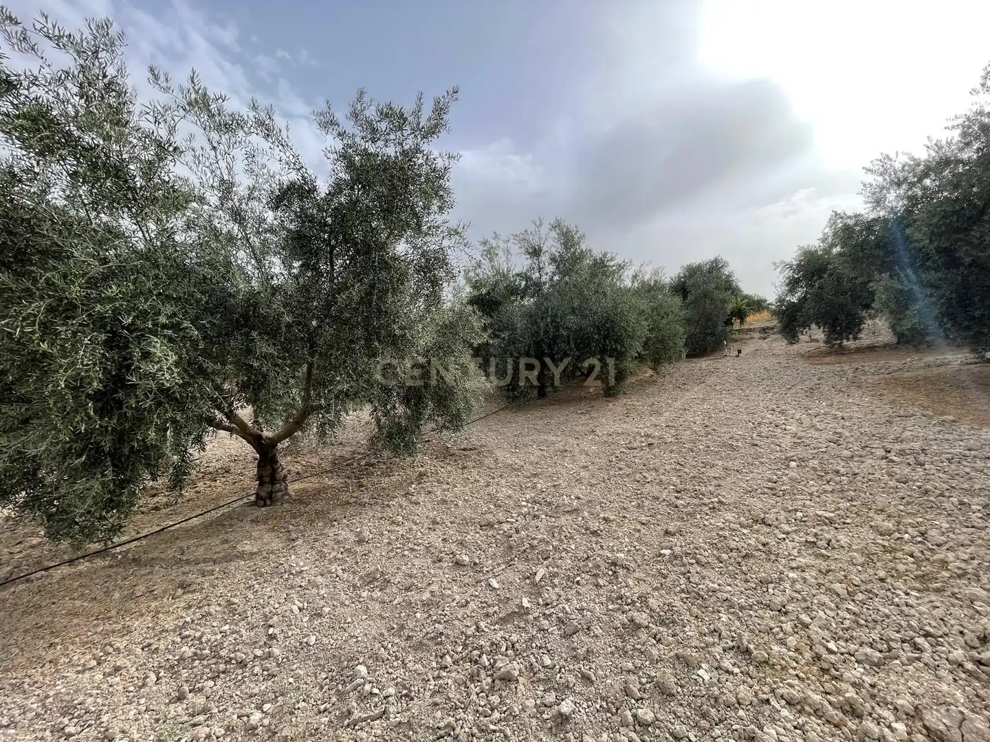 Rustikales Grundstück zum Verkauf in 18260 Íllora, Spain, imagen 8