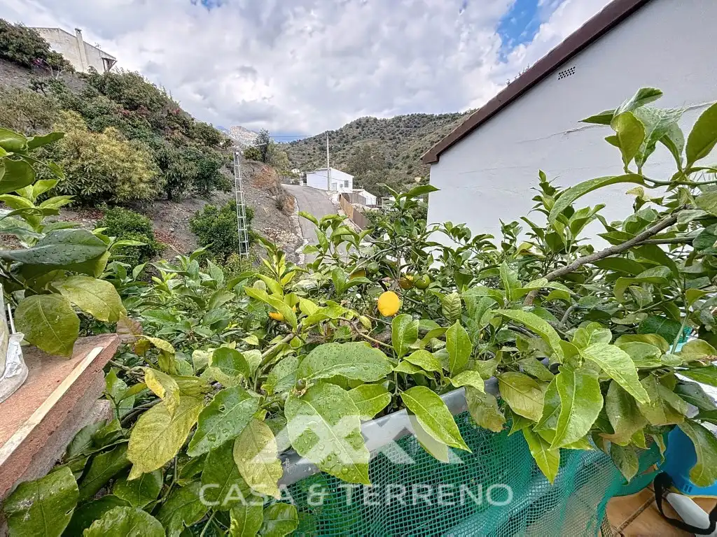 Haus mit Pool zum Verkauf in Viñuela, imagen 48
