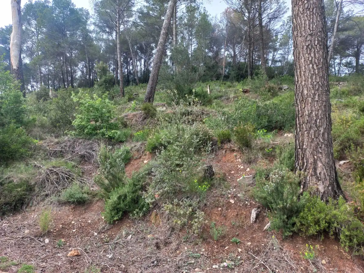 Lands and plots for sale in Bigues i Riells del Fai, imagen 2