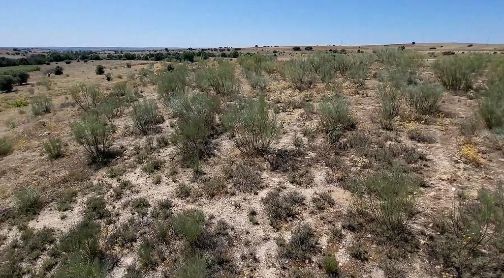 Residencial en venda a Sector 8, La Dehesa - El Pinar