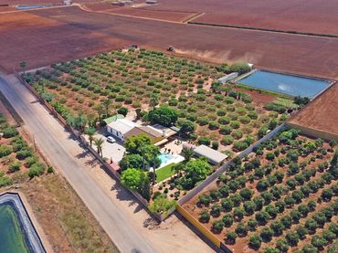 Villa mit Pool zum Verkauf in Calle REYES - DS ALGAR